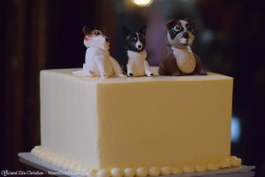 Three dogs topped the wedding cake!
