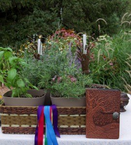Using live plants - tarragon, lavender, basil, rosemary