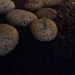 Stones carry messages for the celebration