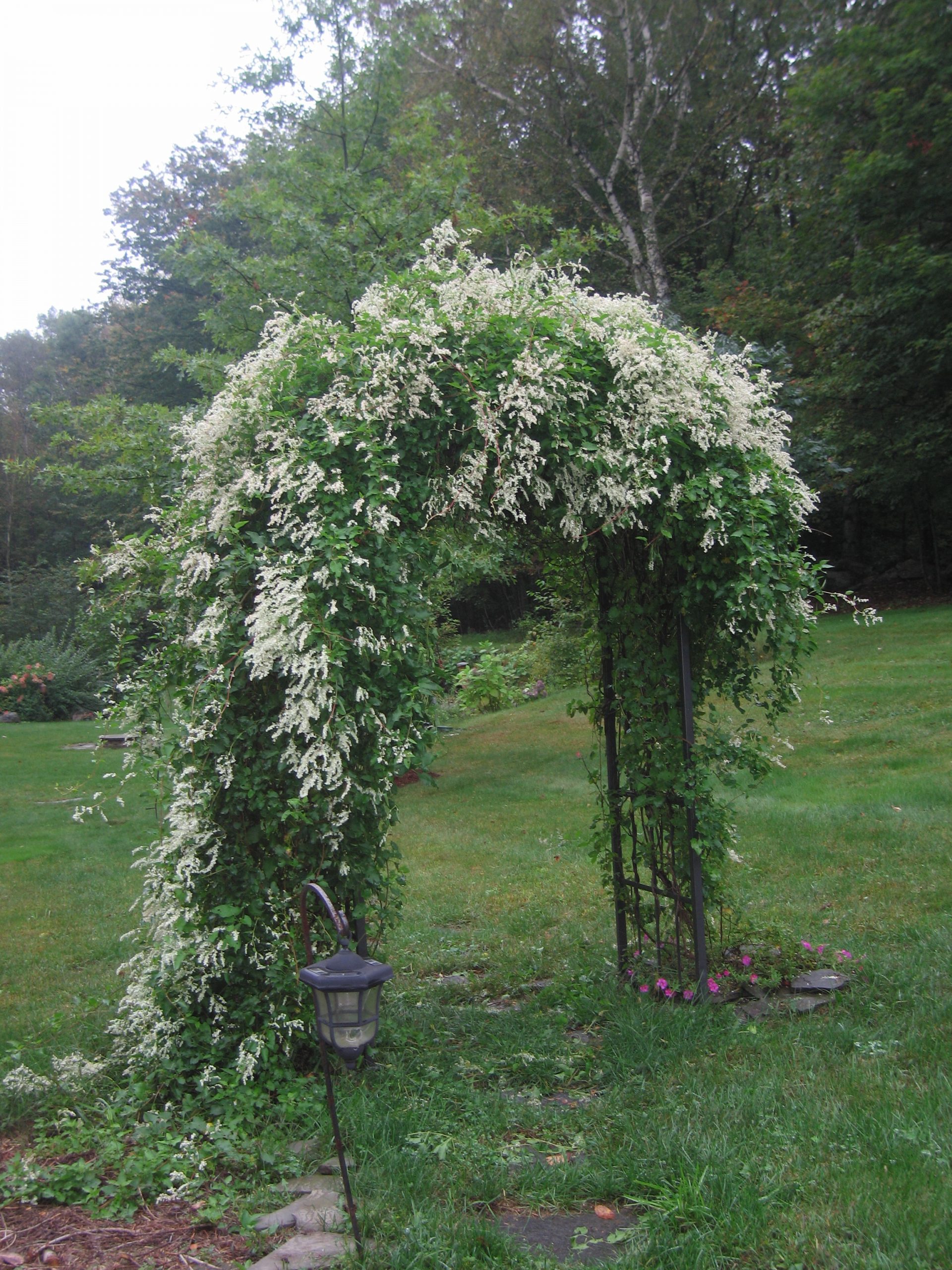 Flowered arbor at entrance to ritual space